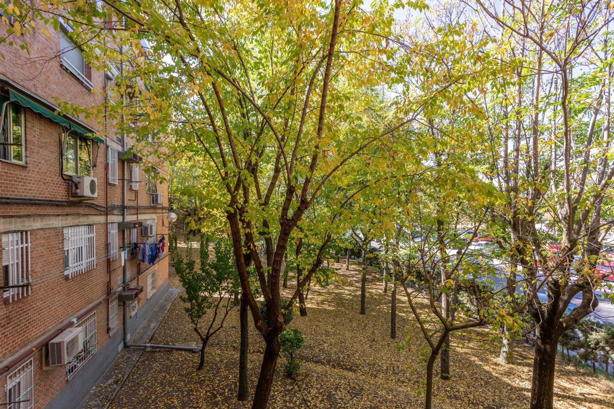 Apartamento 3 Habs Madrid Az10 Екстер'єр фото